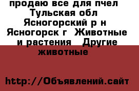 продаю все для пчел - Тульская обл., Ясногорский р-н, Ясногорск г. Животные и растения » Другие животные   